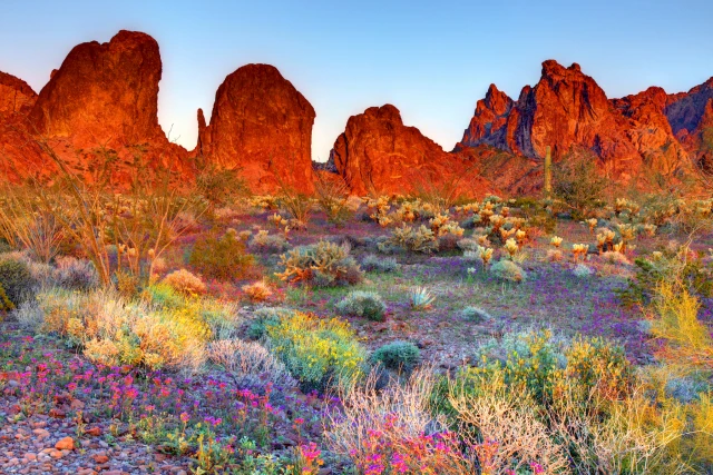 Yuma